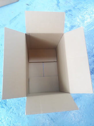 Once Used Carton Box : 56cm(L) x 37cm(W) x 39cm(H)-Bundle of 10pcs * - CartonBox.Sg